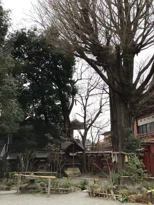 秩父神社の自然