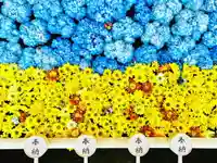 土津神社|こどもと出世の神さまの手水舎