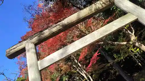 出雲大神宮の鳥居