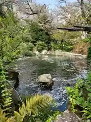 愛宕神社の庭園