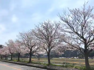 光明寺（馬木不動尊）の自然