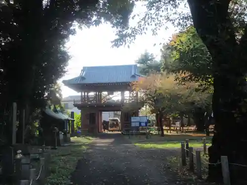 南蔵院(東京都)