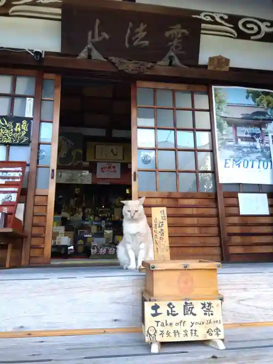 宗龍寺(愛知県)