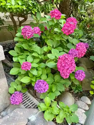 願生寺(東京都)