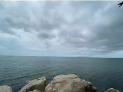 西濱神社(兵庫県)