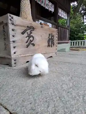 大御和神社(徳島県)