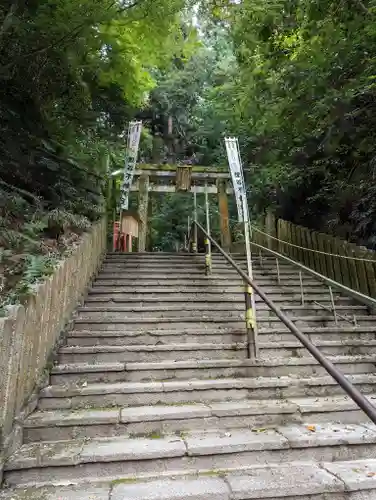 狸谷山不動院の鳥居