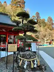 金櫻神社(山梨県)