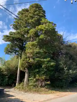 嚴島神社(千葉県)
