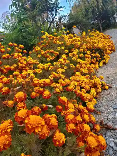 豊景神社(福島県)