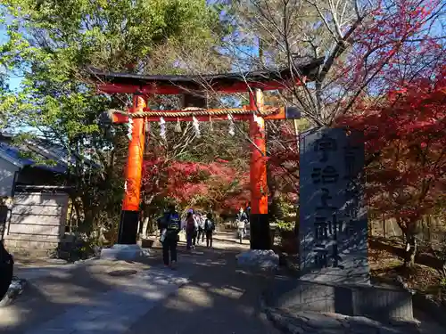 宇治上神社の鳥居