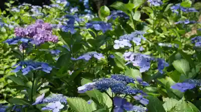 楽法寺（雨引観音）(茨城県)