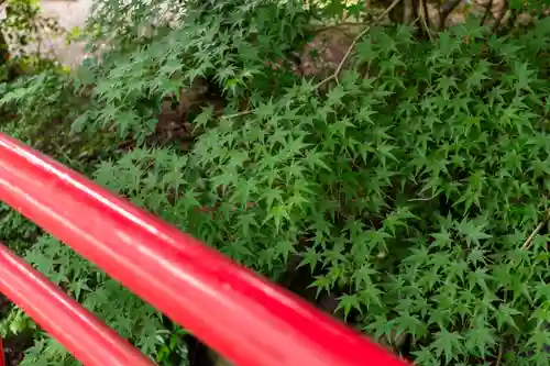 越中一宮 髙瀬神社(富山県)