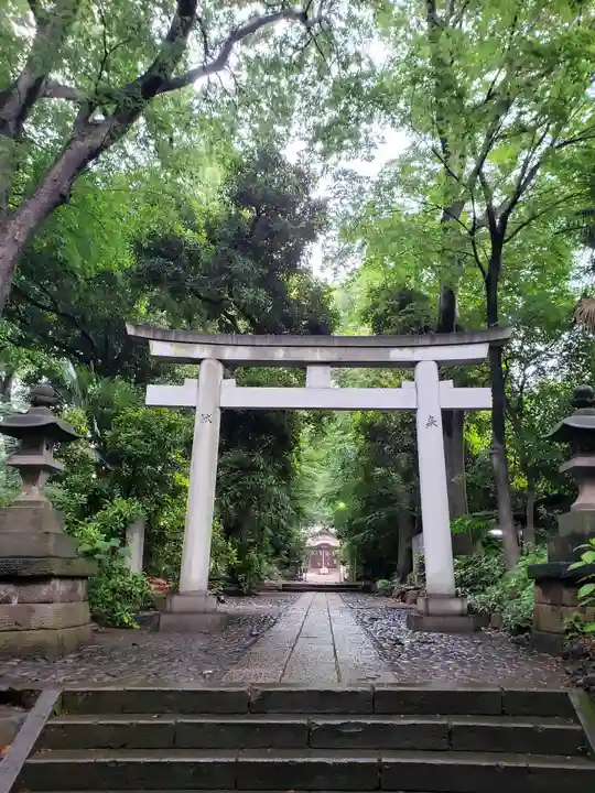 代々木八幡宮の鳥居