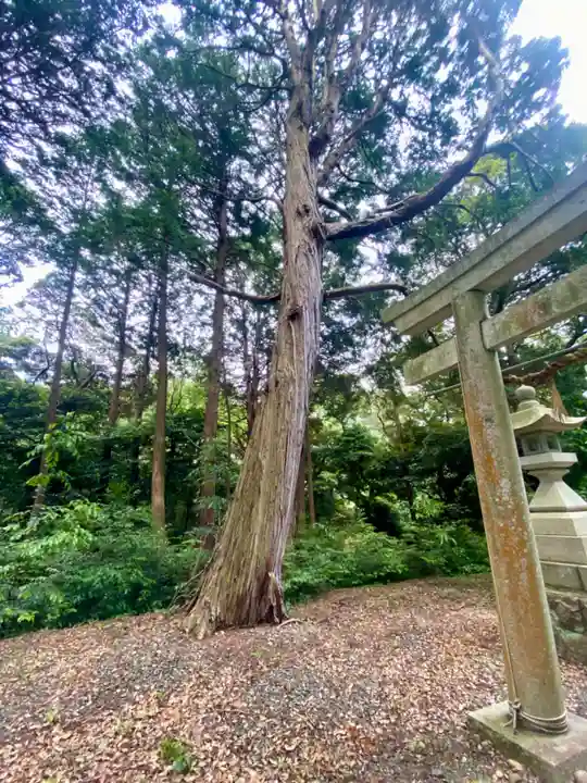 曽許乃御立神社(静岡県)