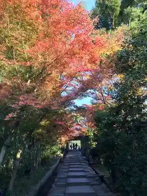 高台寺（高台寿聖禅寺・高臺寺）(京都府)