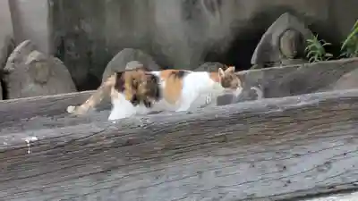 行願寺（革堂）(京都府)