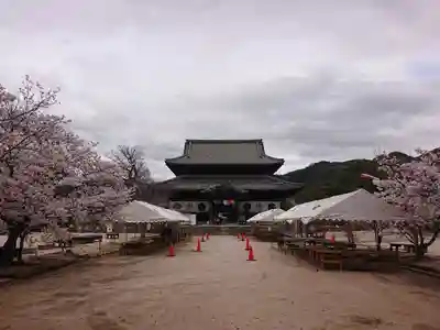 周防国分寺(山口県)