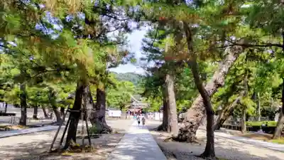 出雲大社(島根県)