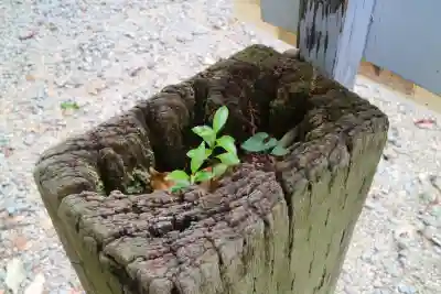 賀茂別雷神社（上賀茂神社）(京都府)