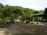 高台寺(高台寿聖禅寺・高臺寺)の庭園