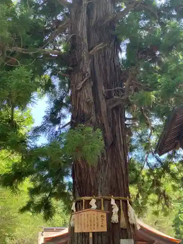 諏訪大社下社秋宮(長野県)