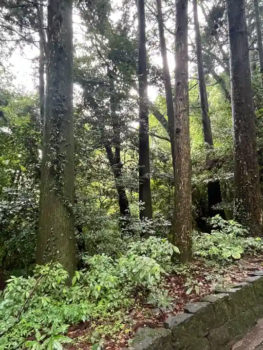 狭野神社(宮崎県)