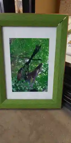 飛木稲荷神社の自然