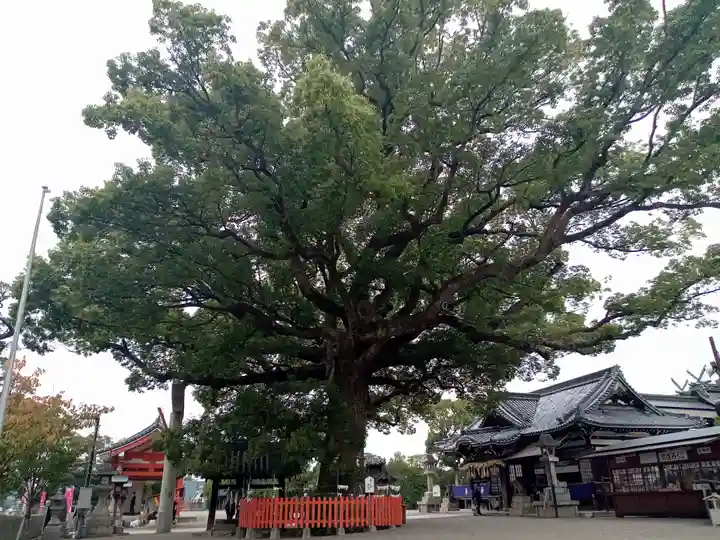 百舌鳥八幡宮(大阪府)