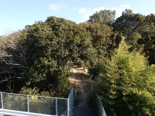 丸笠神社（伯太神社飛地境内社）の自然