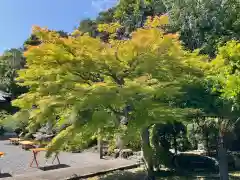 即成院(京都府)