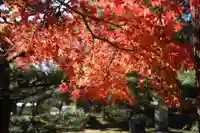 伊勢の国 四天王寺の自然