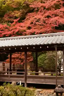 南禅寺(京都府)