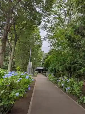 妙法寺(東京都)