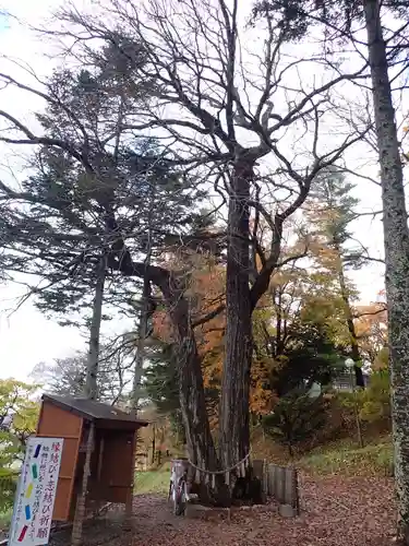 浦幌神社・乳神神社の自然