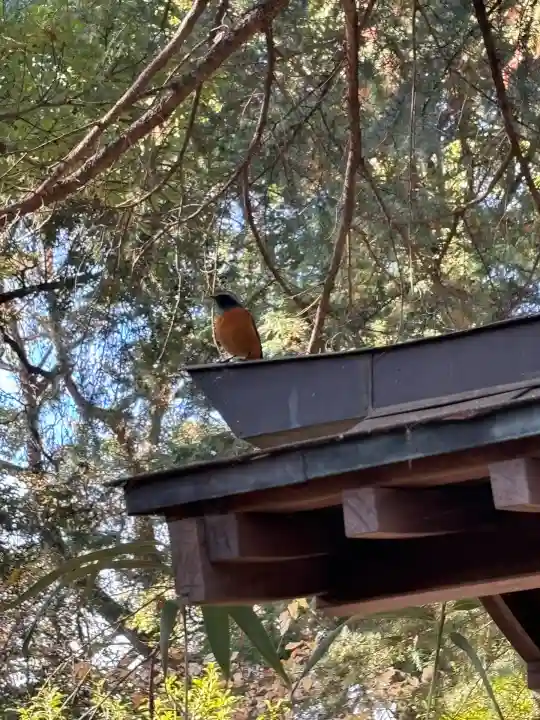 氷川女體神社(埼玉県)