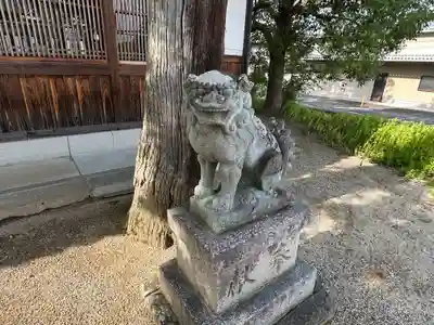 熊野三柱神社の狛犬