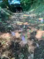 子安神社の自然