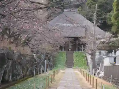 横浜 西方寺の本殿・本堂
