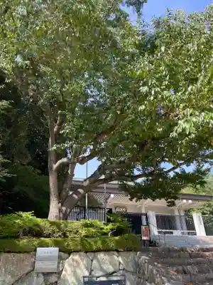 清荒神清澄寺(兵庫県)