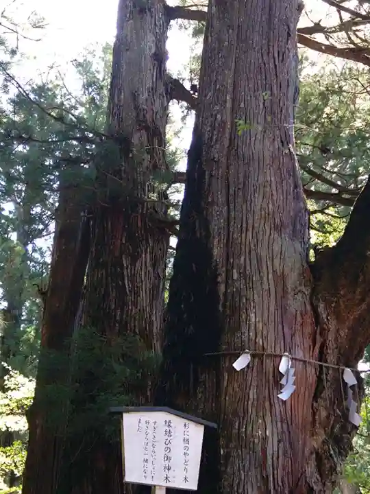 日光二荒山神社(栃木県)