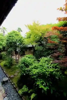 興臨院(京都府)