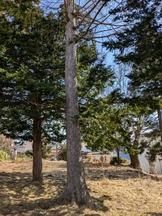 神山稲荷神社の{uncategorized: "未分類", other: "その他", undefined: "問題あり", building: "その他建物", grave: "お墓", sacred_gate: "鳥居", guardian: "狛犬", statue: "像", buddha: "仏像", history: "歴史", nature: "自然", garden: "庭園", animal: "動物", pagoda: "塔", temizu: "手水舎", mountain_gate: "山門・神門", sanctuary: "本殿・本堂", subordinate: "末社・摂社", art: "芸術", scenery: "景色", jizo: "地蔵", ema: "絵馬", goshuin: "御朱印", omikuji: "おみくじ", items: "授与品その他", amulet: "お守り", goshuincho: "御朱印帳", eats: "食事", festival: "お祭り", votive_dance: "神楽", shichigosan: "七五三参", wedding: "結婚式", experience: "体験その他", initially: "初詣", around: "周辺", anti_infection: "感染症対策"}