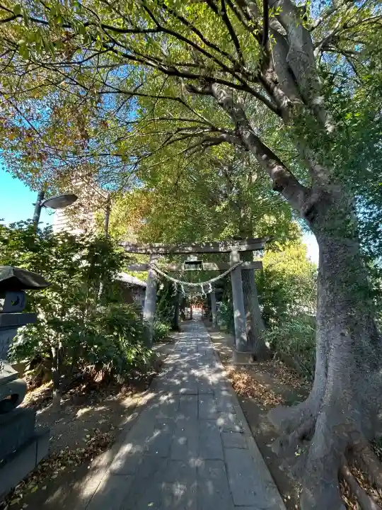 越谷香取神社(埼玉県)