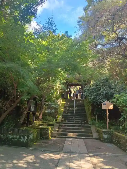 黄梅院(円覚寺塔頭)(神奈川県)