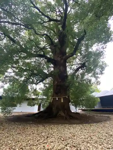 上野東照宮(東京都)