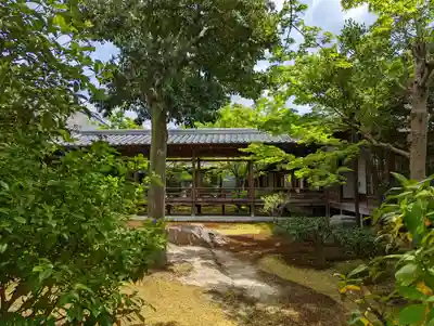 建仁寺（建仁禅寺）(京都府)