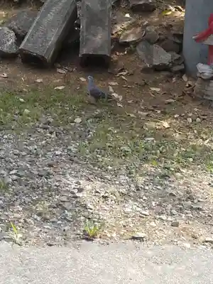 中山鳥瀧神社(宮城県)