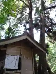 神龍八大龍王神社の本殿