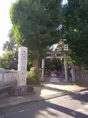 山王稲穂神社の鳥居